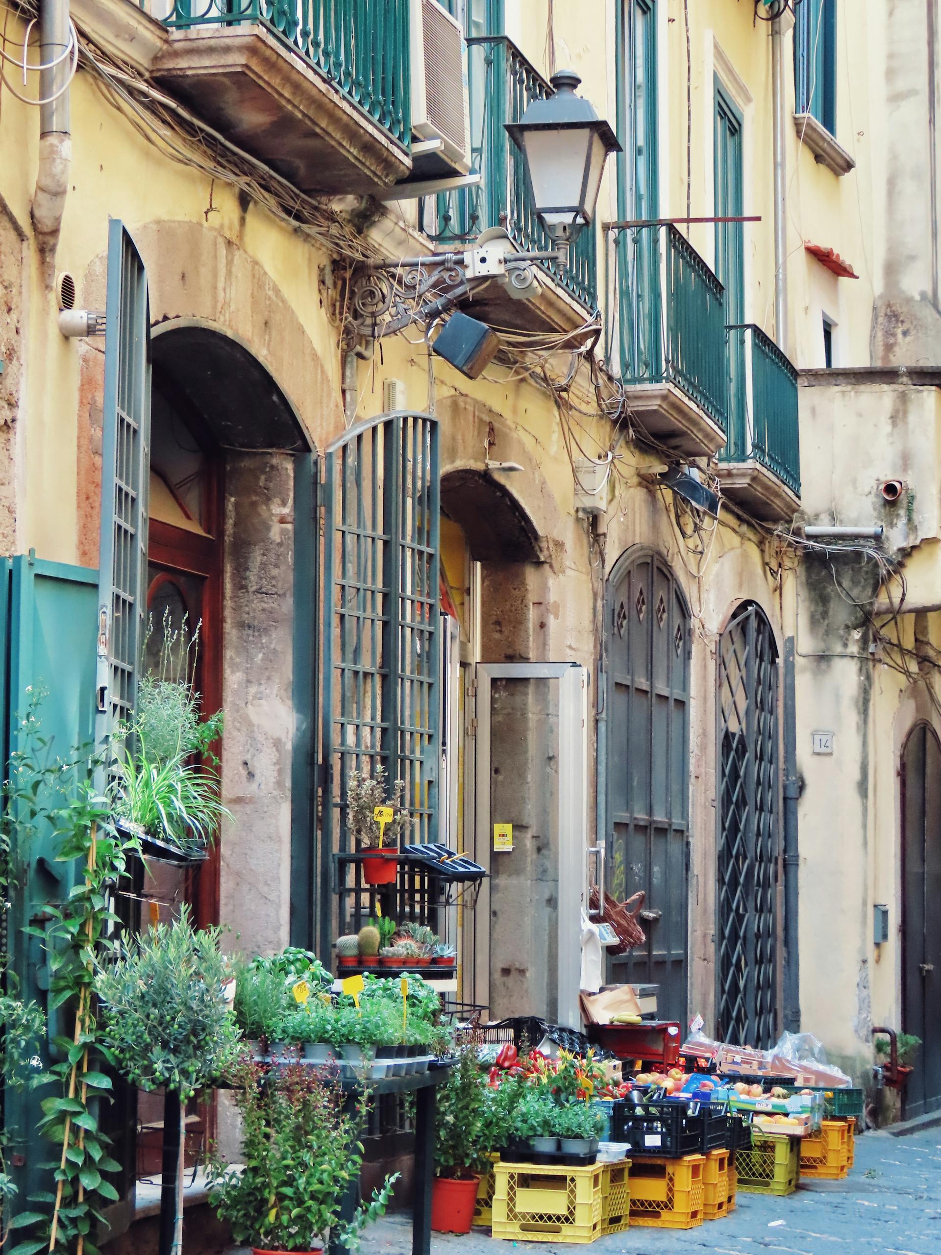 Photo by Tugce Turan A picturesque street in Salerno, Italy, featuring vibrant plants and classic architecture.